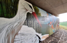 Pod mostem jsou čápi i žáby. ŘSD představilo nové dílo umělce ProroKa