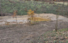 Lavičky, sochy nebo traily pro cyklisty. Šumperský příměstský les má několik novinek
