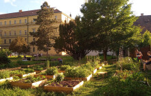 Olomouc přichází o Za()hradu. Komunitní záhony na Tabuláku praskají ve švech