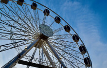 Akce na víkend: Začínají trhy, vyjíždí vánoční tramvaj a Premiere Cinemas láká na Levnou neděli