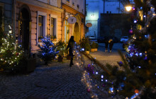 V Šemberce opět ožije Ježíškova alej. Stromky už se chystají
