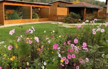 Vítězným projektem participativního rozpočtu jsou městské voliéry