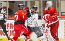 Kohouti vyráží za nejvzdálenějším soupeřem, v pátek vyzveme Karlovy Vary