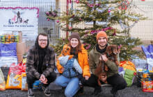 Naše vánoční přání? Aby svůj nový domov našli hlavně pejsci z útulků, i ti starší, zní od organizátorek sbírky