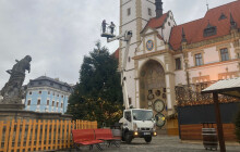Plošina dorazila. Olomoucký vánoční strom zase svítí