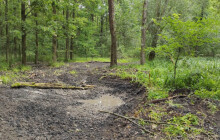 V Litovelském Pomoraví vznikla desítka nových tůní