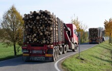 Lesy ČR splnily slib daný po povodních, lidé už topí darovaným dřevem  