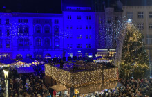 Deset let s olomouckými vánočními stromy. Který je ten nejhezčí?