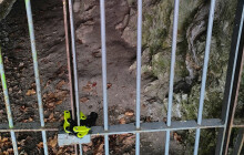 Jeskyni Podkova uzamkli. Zimují tam netopýři