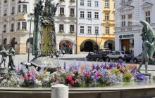 Arionova kašna na Horním náměstí se oblékla do květinových šatů a září všemi barvami