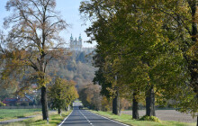 Mezi nominovanými na Alej roku je i jedna olomoucká. Hlasování běží