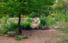 Tip na výlet: Zřícenina kartuziánského kláštera Vallis Josaphat ukrývá středověkou historii