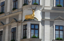 Olomoucká domovní znamení skrývají příběhy. Představí je průvodci