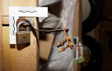 Série vloupání v Přerově. Recidivista řádil ve sklepích, škoda přesáhla 100 tisíc