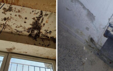 Plísně na stěnách i myší trus. Inspekce znovu otevřela prostějovskou restauraci