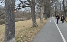 Rybářská alej v Přerově prořídne. Kácení stromů začne do konce března