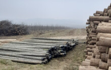 Budoucnost sadů na Šumpersku je nejistá. Ředitel Úsovska kritizuje dotační systém