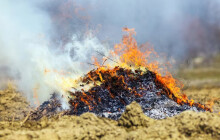 Za pálení trávy a listí hrozí desetitisícové pokuty. Olomouc nabízí možnosti ekologické likvidace