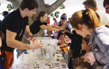 Odpudiví nebo kouzelní? Hady, obojživelníky nebo světlušky potkáte v Pevnosti poznání