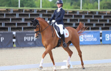 Mistrovství Evropy se uskuteční v olomouckém jezdeckém areálu. Šampionát dostal zelenou