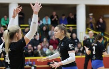 Sokolky jdou do baráže. Vyzvou je Lvice z Prahy