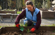 Dobrovolníci z gymnázií pomohli s úklidem v nemocnici. Záhony prokoukly