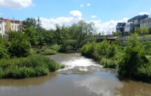 Vodáci v Olomouci oslaví Den Země úklidem Mlýnského potoka