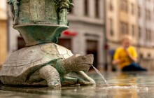 FOTOREPORT: Na náměstí plavou želvy a mezi nimi stojí básník