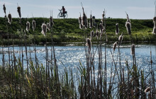Rekordní počet účastníků. Na Bílý kámen vyrazilo víc než 7 tisíc lidí
