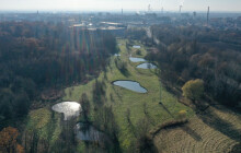 Skokani i čolci vítají nové tůně. Na Přerovsku i v Pomoraví ožívá mokřadní krajina