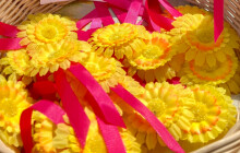 Žluté kytičky znovu pomáhají. Sbírka letos cílí na rakovinu tlustého střeva