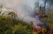 Dva lesní požáry. Kvůli špatně uhašeným ohništím vyjížděli hasiči k požáru