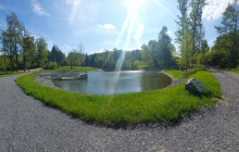 Rybníky u Dalova zadržují vodu i chrání cesty, město investovalo přes 15 milionů