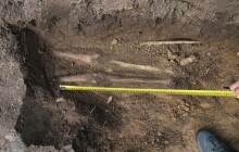 Majitel rodinného domu při kopání na zahradě nalezl tisíc let starý hrob