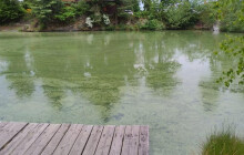 Sinice a bakterie znečistily vodu v Dalovském jezírku a Modré studánce. Město zakázalo koupání