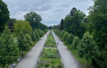 Moravské divadlo láká na open-air festival. Začíná v neděli