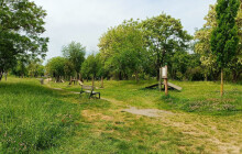 Rada schválila agility park. Cvičiště pro psy má vyrůst u domova pro seniory