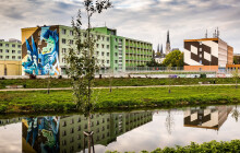 Září v duchu umění. Street Art Festival se po roce vrací do Olomouce