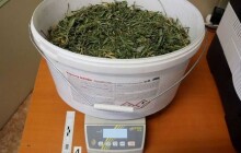 Žena na sebe nedopatřením upozornila. Nyní jí hrozí až 8 let ve vězení