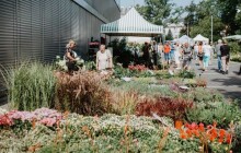 Letní Flora se blíží. Ke vstupu nebude potřeba žádné potvrzení o testu, očkování či bezinfekčnosti