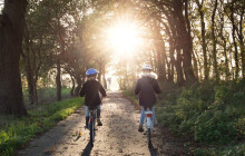 Kácení stromů omezí průjezd Jantarovou cyklostezkou. Vede přes Nemilany