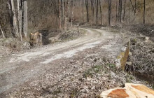 Pasecký most půjde k zemi. Olomouc začala s opravami lesních mostů
