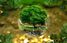 Máte rádi přírodu? Zapojte se do hlasování o cenu veřejnosti za její aktivní ochranu