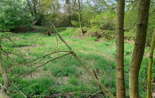 O pozemek s rybníkem v Přerově se v aukci strhl boj. Úřad zaznamenal 61 příhozů