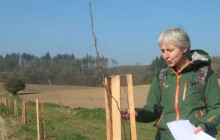 Ivana Krejčová může získat Cenu Olomouckého kraje. Dáte jí hlas?