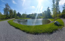 Lesy města Olomouce mohou získat ocenění za přínos v oblasti životního prostředí