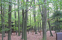 Pohřebiště napoleonských vojáků ve Veselíčku na Přerovsku bude mít nové oplocení