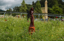 V Loučné nad Desnou rozkvétají motýlí louky i ekologické hodnoty