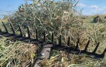 Fialové koniklece, motýli i ťuhýci. Vzácné druhy přežívají díky pravidelné údržbě krajiny