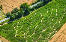 Tip na zábavný výlet? Což takhle kukuřičné bludiště!